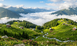Yazın Gidilecek En Güzel Karadeniz Yaylaları Hangileri?