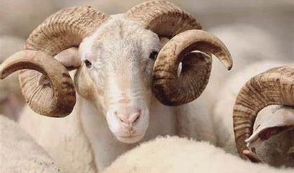 Kilis’te Açıklandı, Osmaniye’de Bekleniyor