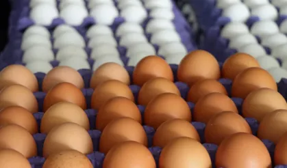 Yumurta Fiyatlarında Beklenmedik Düşüş
