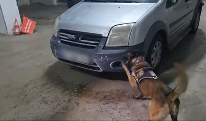 Kars’ta uyuşturucu narkotik köpeği Şila’ya takıldı