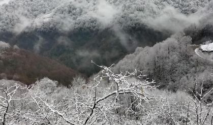 Alaplı’nın Gümeli köyüne mevsimin ilk karı düştü