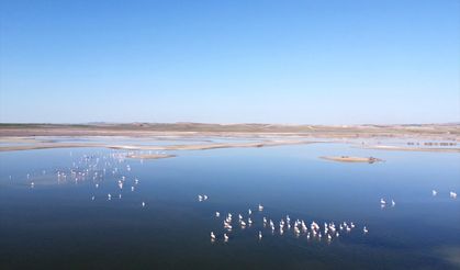 Eskişehir'deki Kavuncu Göleti'nin doğal sit alanı olması için çalışılıyor