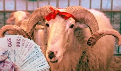 Dar Gelirlilere Kurbanlık Umudu Oldu