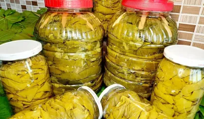 Osmaniye’de yeni yöntem: Doğal, katkısız ve vakumlu saklama