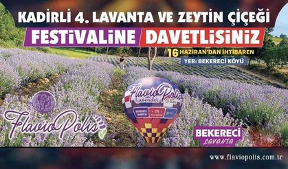 Osmaniyeliler 4. Lavanta Festivali’nde Buluşuyor