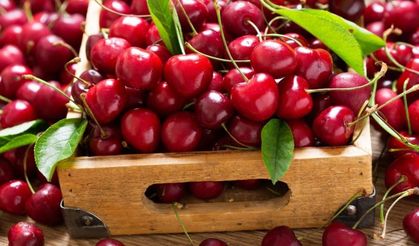 Don Vurdu, Fiyat Uçtu: Kiraz Artık Zengin Sofrasında