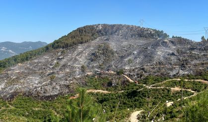 Türkiye Orman Yangınıyla Mücadele Ediyor