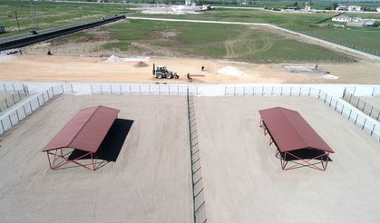 Muş'ta Hayvan Barınağı ve Doğal Yaşam Alanı inşaatında son aşamaya gelindi