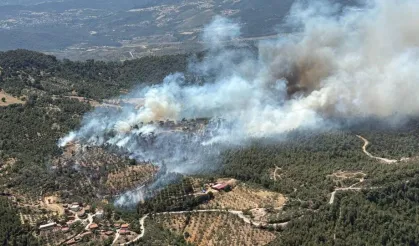 Sıcaklık ve İhmal Felakete Dönüştü