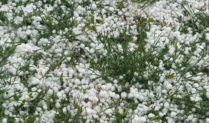 Yozgat’ta dolu tarımı olumsuz etkiledi