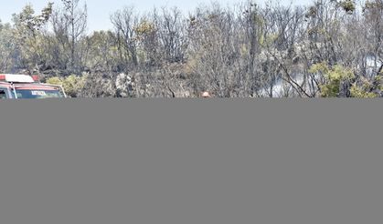 Türkiye Yanıyor: Çeşme, Bursa ve Kütahya’da Orman Yangınları