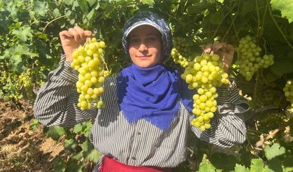 Diyabet Hastalarının Tercihi: Süperior Üzüm