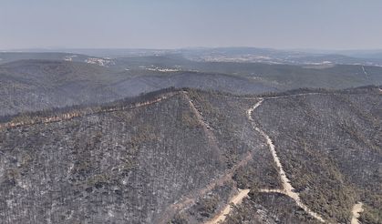 Bursa Hariç Tüm Yangınlar Kontrolde