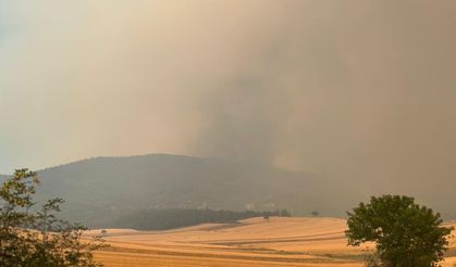 Sakarya’dan Bilecik’e Sıçrayan Yangın Sürüyor