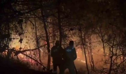 Geyve’de Yangınla Zorlu Mücadele Ekipler Alev Topunun İçinden Geçti