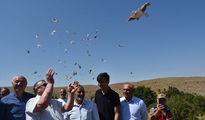 Gümüşhane'de 400 keklik doğaya bırakıldı