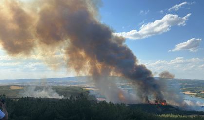 GÜNCELLEME - Tekirdağ'da orman yangınına havadan ve karadan müdahale ediliyor