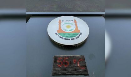 Güneydoğu'da Kavurucu Sıcaklar Etkili