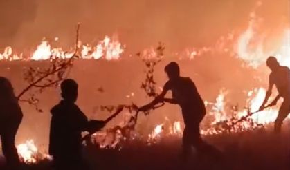 Hakkari-Van Sınırında Korkutan Yangın: 30 Dönümlük Arazi Kül Oldu