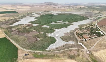 Kuraklıktan Göller Kuruyor