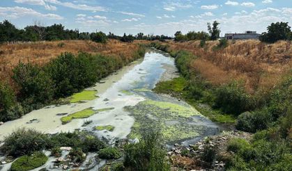 Lüleburgaz Deresi Beyaza Döndü Pis Koku ve Renk Değişimi Tedirgin Etti