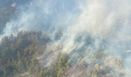 Afyonkarahisar Yangını Kontrol Altında   Sakarya'dan başlayan yangın söndürüldü