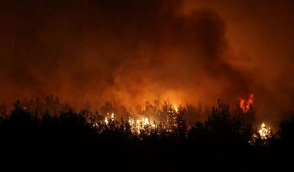 Yangın Alarmı: 3 İlde Tahliyeler Başladı