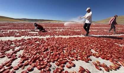 Şanlıurfa’dan Elazığ’a 6 Bin Dönüm Atıl Arazi Tarıma Kazandırıldı