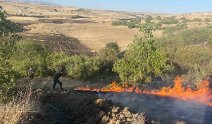 Adıyaman’da Anız Yangını Bahçelere Sıçradı