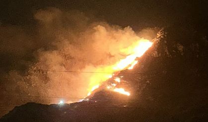 Balıkesir Marmara Adası'nda çıkan yangına müdahale ediliyor