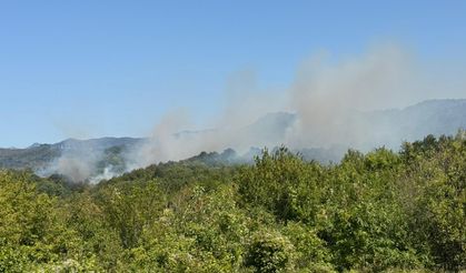 Bartın'da ormanlık alanda çıkan yangına müdahale ediliyor