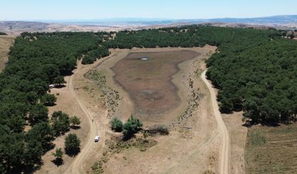 Bilecik'teki doğal gölet kuruma tehdidiyle karşı karşıya kaldı