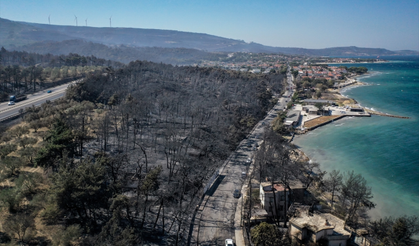 Alevler Durduruldu, Hasar Gözler Önünde Çanakkale Orman Yangını Son Durum