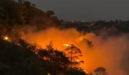 Denizli Aydın Sınırındaki Orman Yangını Kontrol Altında