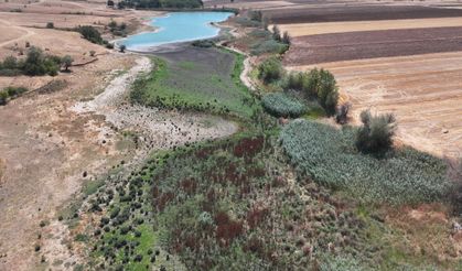 Edirne'deki Korucuköy Göleti'nin su seviyesi kuraklık nedeniyle azaldı