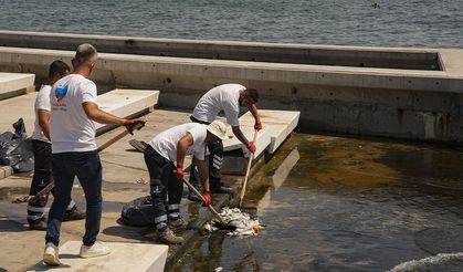 İzmir Körfezi’nde kirlilik alarmı Balık ölümleri arttı
