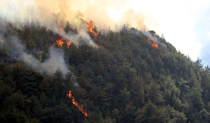 Karabük'te Kontrol Altına Alınan Orman Yangını Yeniden Başladı!