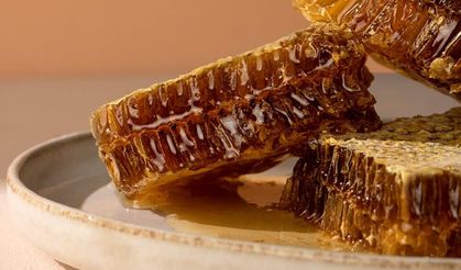 Anzer Balında Rekolte Patlaması Padişahların Balı Bu Yıl Altın Yılını Yaşıyor