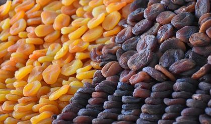 Kuru Kayısı İhracatından 377 Milyon Dolar Gelir Elde Edildi