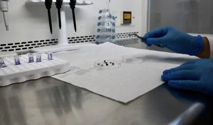 Samsun, Sinop ve Tokat’ta Kene Tehlikesi Haritalanıyor