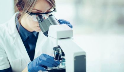 MIT, Yapay Zeka ile Yeni Antibiyotikler Geliştirdi