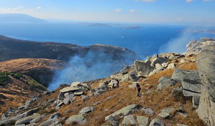 Marmara Adası’nda Orman Yangını!