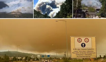 Türkiye’de Orman Yangınlarıyla Mücadele Sürüyor: Kocaeli, Karaman ve Diyarbakır’da Alarm