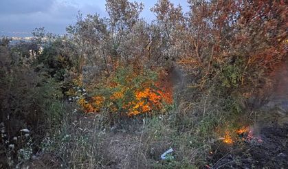 Orhangazi’de Orman Yangını Korkuttu