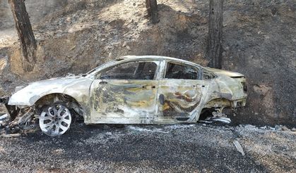 Muğla’da Yanan Araç Ormana Sıçradı, Yangın Büyümeden Söndürüldü