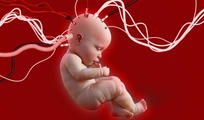 Dünya'da Bir İlk,Robot Rahimde İnsan Bebeği Geliştirilecek