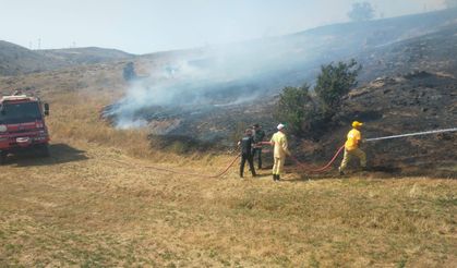 Tokat'ta çıkan yangında 10 dönümlük alan zarar gördü