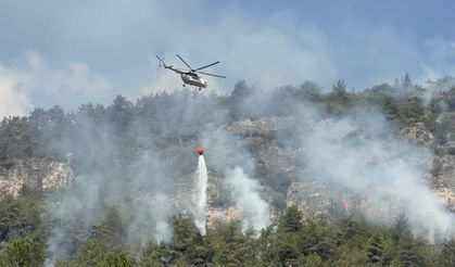 Ormanlarımız Alev Alev Karabük, Bolu ve Çanakkale'de Kritik Yangınlar