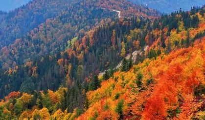 Kaçkar Dağları İkizderede Sonbahar Renkleriyle Büyülüyor