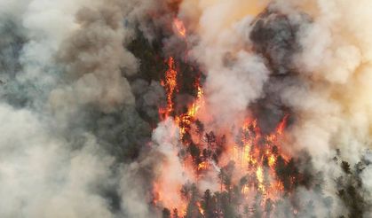 Karabük’teki Orman Yangını Kastamonu’ya Sıçradı